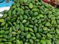 قیمت «چغاله بادام» ترمز برید | چغاله سیری چند؟ + عکس