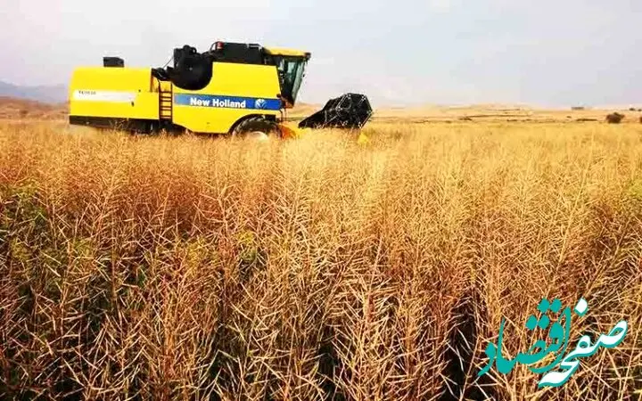 آخرین خبر از خرید تضمینی گندم امروز دوشنبه ۱۵ مرداد ماه ۱۴۰۳ | معرفی استان‌ های برتر خرید تضمینی گندم