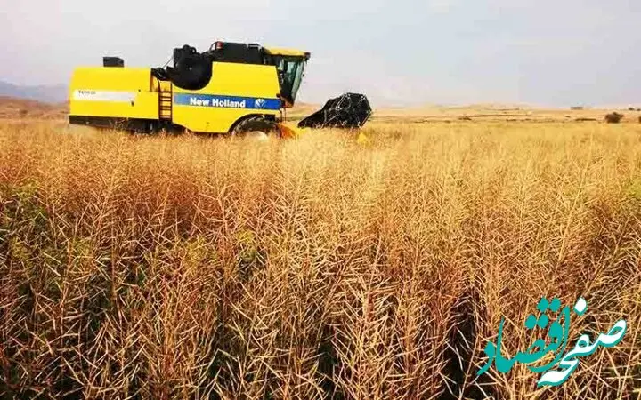 آخرین خبر از خرید تضمینی گندم امروز دوشنبه ۱۵ مرداد ماه ۱۴۰۳ | معرفی استان‌ های برتر خرید تضمینی گندم