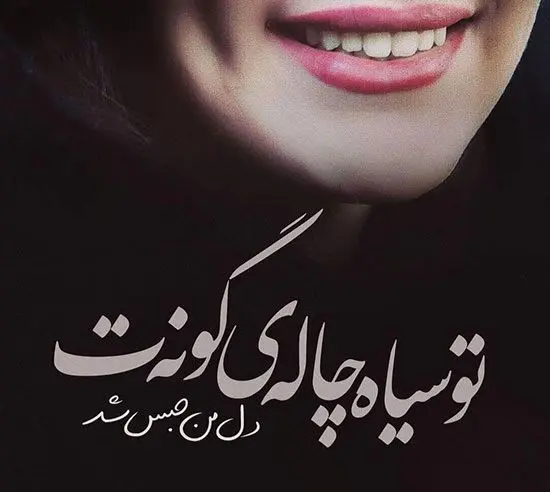 تاریخ روز جهانی چال گونه در تقویم ۱۴۰۴ چه روزی است؟ + متن تبریک روز جهانی چال گونه ۱۴۰۴