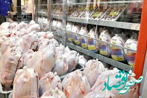 جدول جدید قیمت مرغ و گوشت امروز ۲۶ اردیبهشت ۱۴۰۳ + قیمت گوشت چرخ کرده