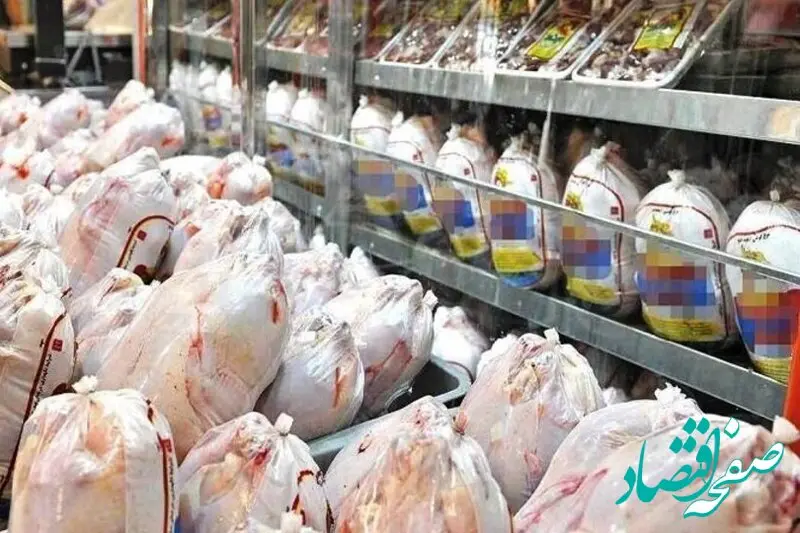 آخرین خبر از قیمت جدید مرغ امروز 13 شهریور 1402 | به این شرط قیمت مرغ می‌ریزد