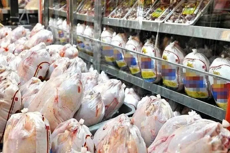 آخرین خبر از قیمت جدید مرغ امروز 13 شهریور 1402 | به این شرط قیمت مرغ می‌ریزد