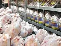 آخرین خبر از قیمت جدید مرغ امروز 13 شهریور 1402 | به این شرط قیمت مرغ می‌ریزد