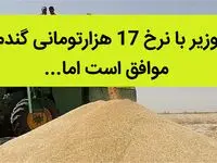 وزیر با نرخ 17 هزارتومانی گندم موافق است اما این سازمان، ساز مخالف می زند