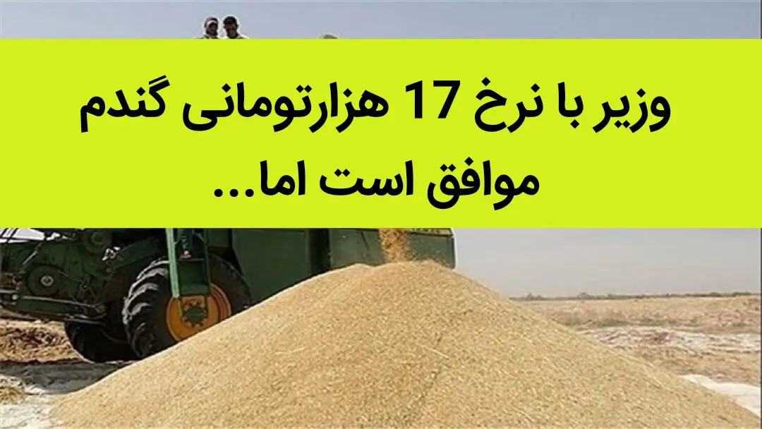 وزیر با نرخ 17 هزارتومانی گندم موافق است اما این سازمان، ساز مخالف می زند