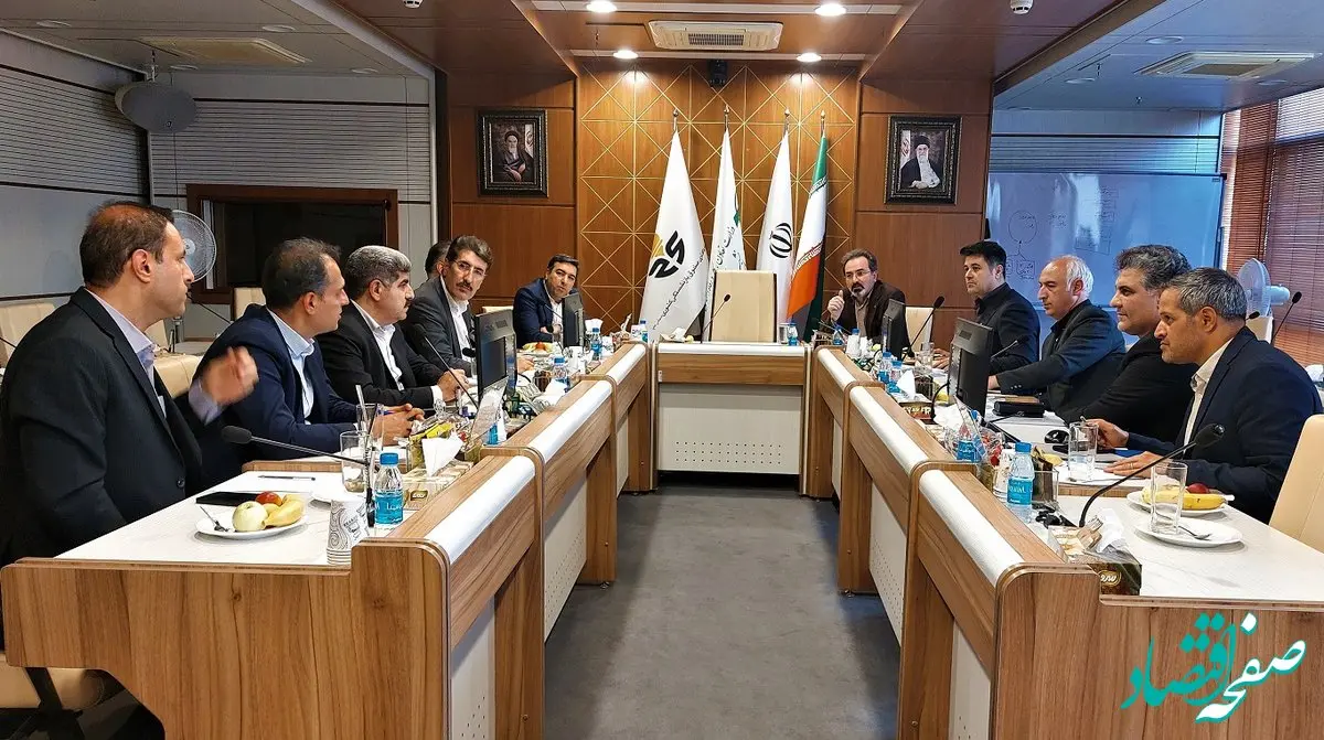  استفاده از ظرفیت‌های بانک توسعه تعاون برای تامین مالی پروژه‌های هلدینگ صباانرژی