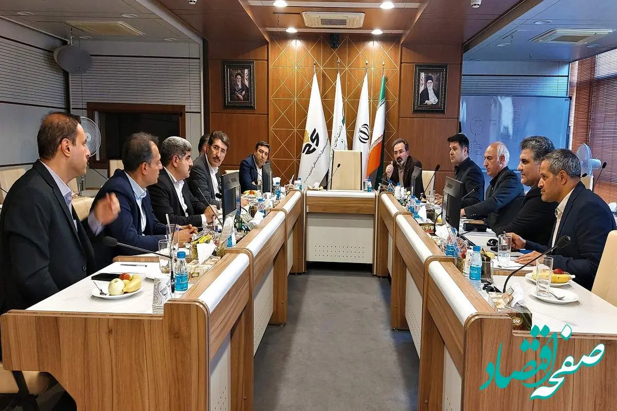استفاده از ظرفیتهای بانک توسعه تعاون برای تامین مالی پروژههای هلدینگ صباانرژی