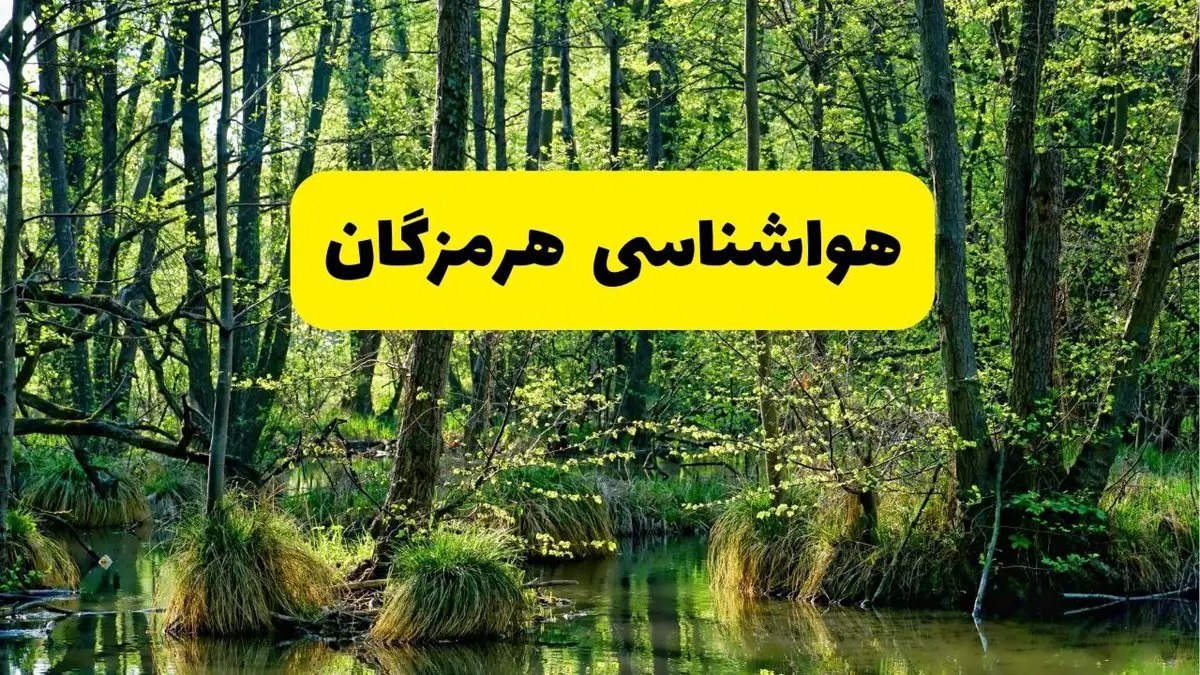 پیش بینی هواشناسی هرمزگان ۲۴ ساعت آینده | پیش بینی وضعیت آب و هوا هرمزگان فردا دوشنبه ۲۹ اردیبهشت ۱۴۰۴