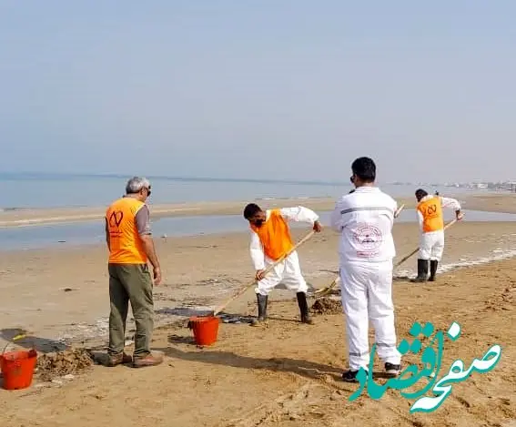 به استقبال بهار ۱۴۰۳ می رویم