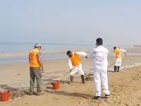 به استقبال بهار ۱۴۰۳ می رویم
