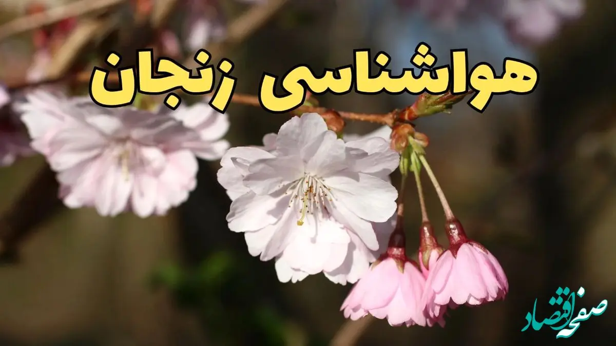 پیش بینی هواشناسی زنجان ۲۴ ساعت آینده | وضعیت آب و هوا زنجان فردا سه شنبه ۱۲ فروردین ماه ۱۴۰۴ | آب و هوای زنجان در روز ۱۳ بدر 