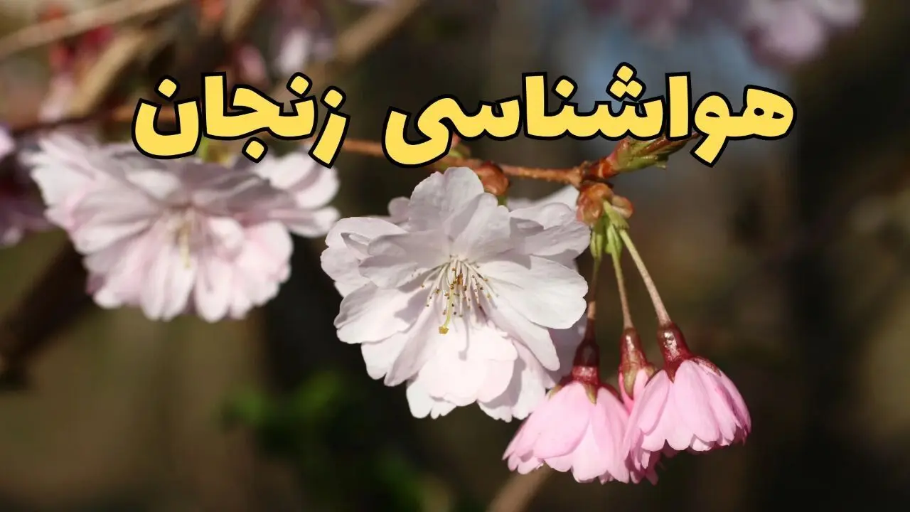 پیش بینی هواشناسی زنجان ۲۴ ساعت آینده | وضعیت آب و هوا زنجان فردا سه شنبه ۱۲ فروردین ماه ۱۴۰۴ | آب و هوای زنجان در روز ۱۳ بدر 