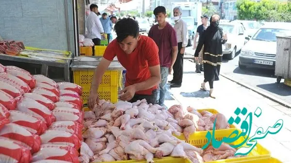 افزایش ۳۸ هزار تنی تولید مرغ در اردیبهشت؛ قفسه‌های بازار در انتظار کاهش قیمت