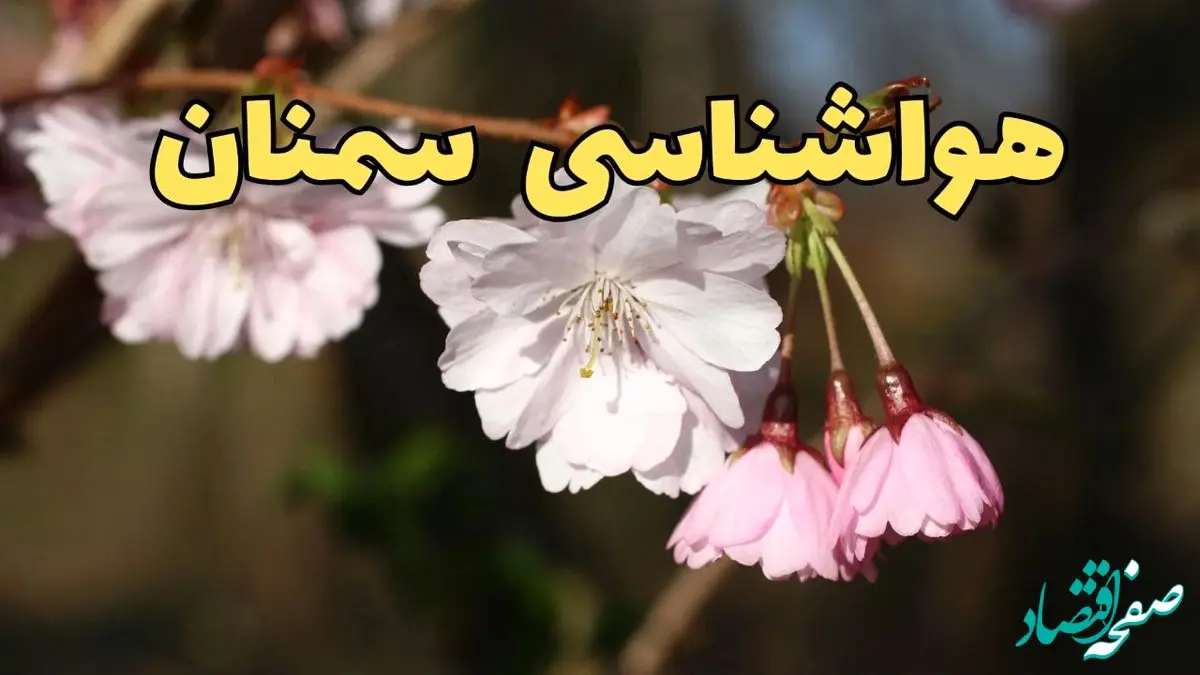 پیش بینی هواشناسی سمنان ۲۴ ساعت آینده | وضعیت آب و هوا سمنان فردا سه شنبه ۱۲ فروردین ماه ۱۴۰۴ | آب و هوای سمنان در روز ۱۳ بدر 