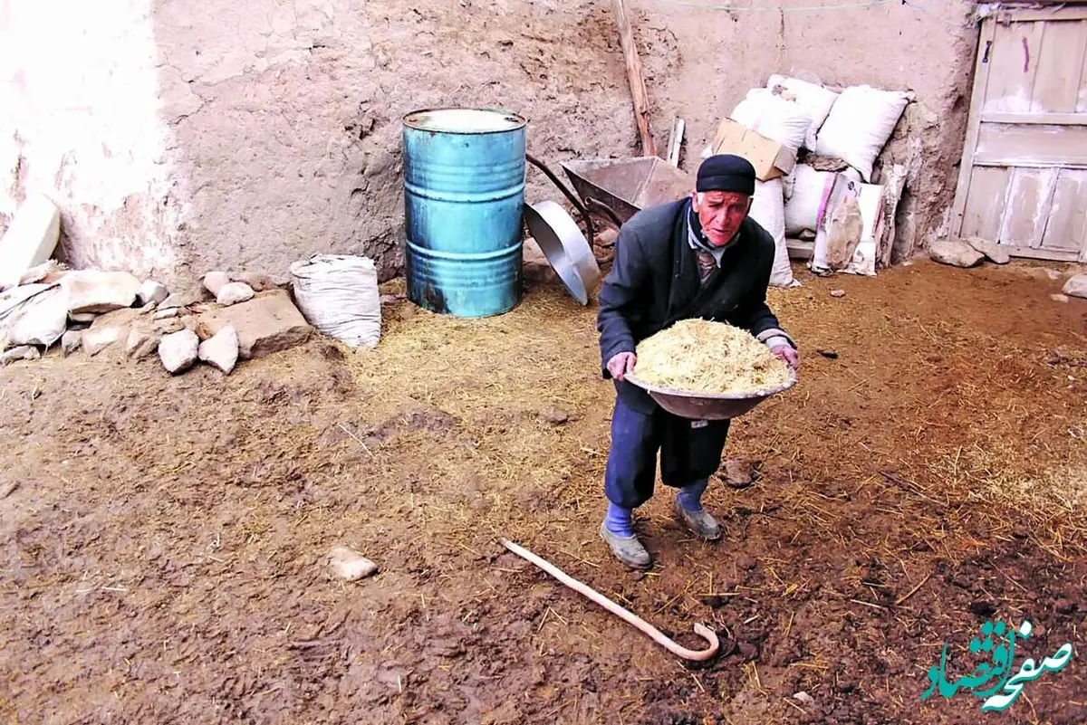 تامان گل الهی مرد کشاورزی که یک زن است، کیست؟