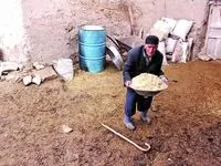 تامان گل الهی مرد کشاورزی که یک زن است، کیست؟