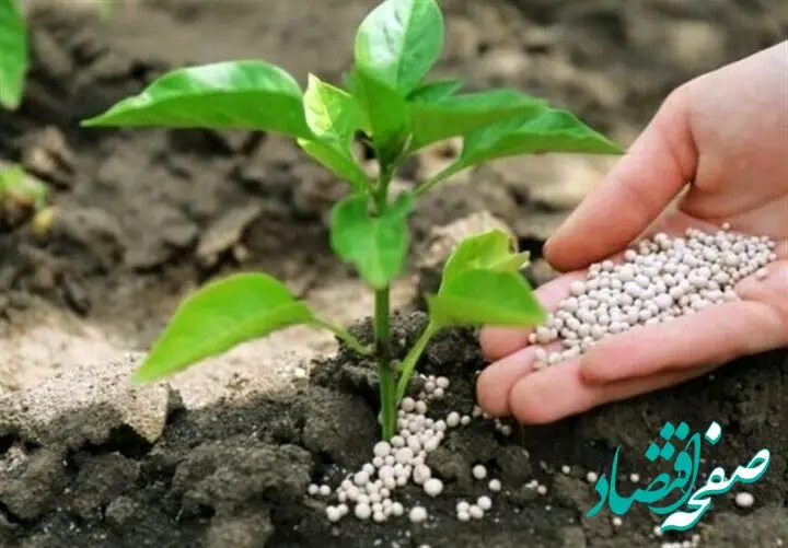 تحویل ۱۵۰۰ تن کود ازته یارانه دار به کشاورزان 