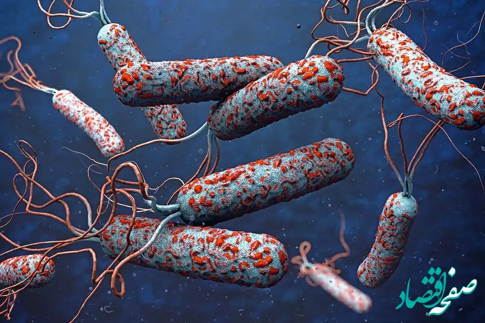 فوری | یک هشدار جدی از وزارت بهداشت درباره شیوع این بیماری در کشور