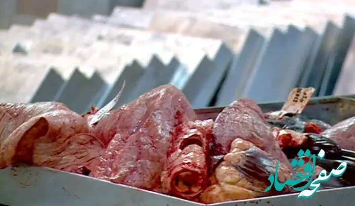 قیمت گوشت چرخ کرده گوسفندی امروز ۱ اردیبهشت ماه ۱۴۰۳ + جدول