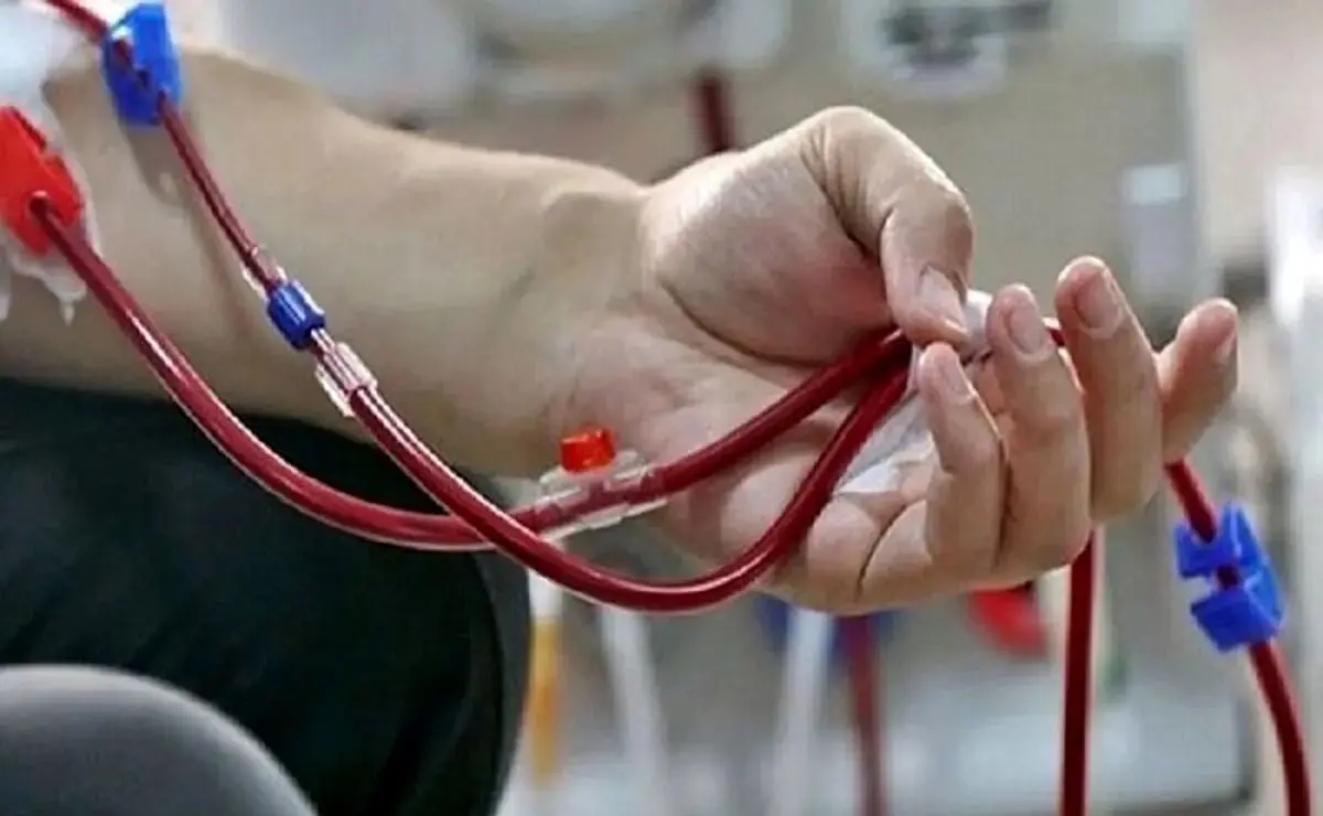 جزئیات بودجه ۱۶ همتی صندوق بیماران خاص و صعب‌العلاج در ۱۴۰۵ اعلام شد