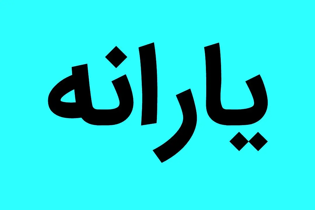 اینگونه با خرید از فروشگاه، یارانه خود را ۲۲۰ هزار تومان افزایش دهیم | یارانه بگیران بخوانند