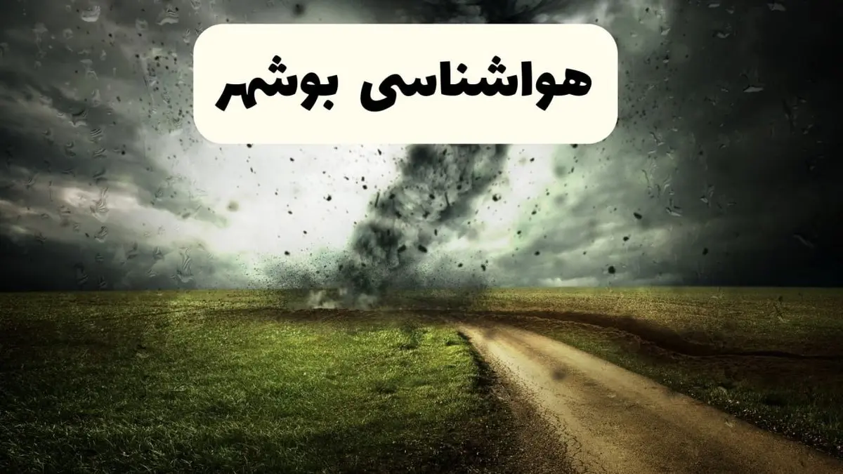 خبر فوری هواشناسی بوشهر ۲۴ ساعت آینده | پیش بینی وضعیت آب و هوا بوشهر فردا دوشنبه ۱۵ اردیبهشت ماه ۱۴۰۴ 