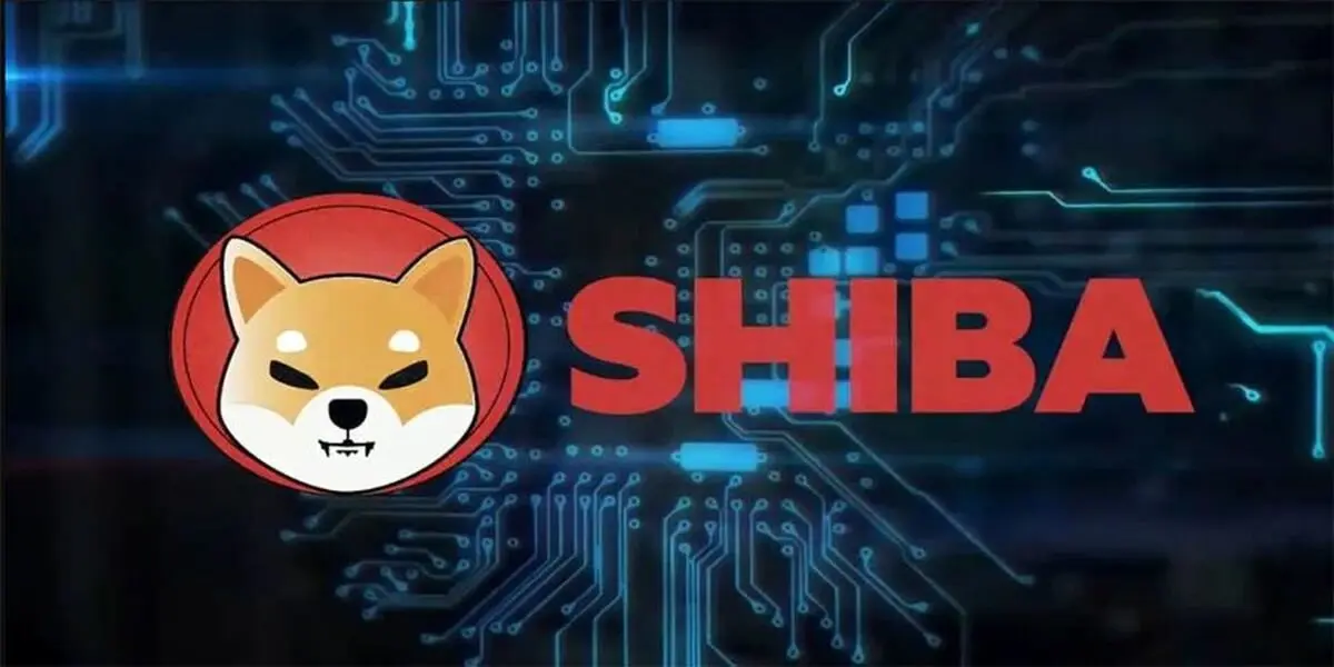 صعود ۴۰ درصدی نهنگ‌های شیبا/ شیبا اینو منفجر می شود؟ 