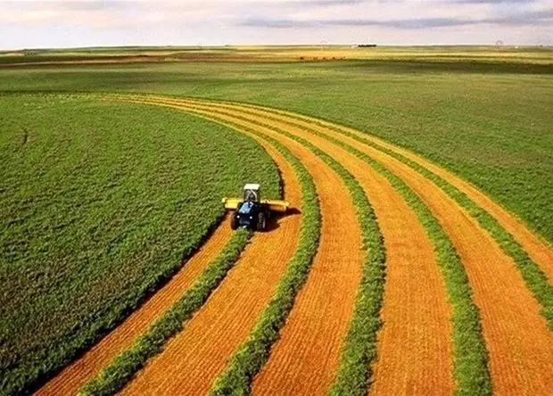 شرایط کشت بهاره دیم مطلوب شد