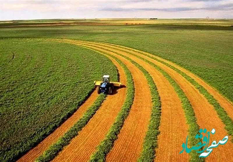شرایط کشت بهاره دیم مطلوب شد