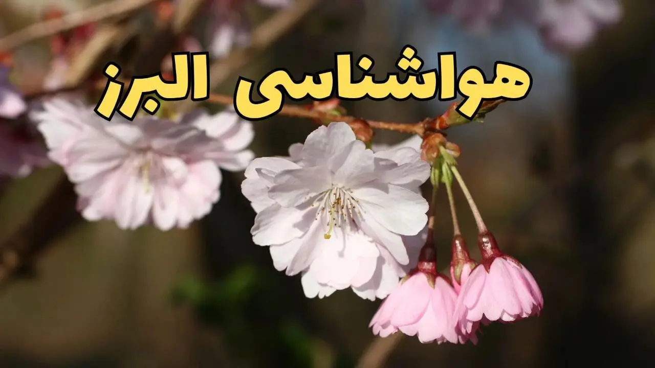 پیش بینی هواشناسی کرج ۲۴ ساعت آینده | وضعیت آب و هوا البرز فردا سه شنبه ۱۲ فروردین ماه ۱۴۰۴ | آب و هوای کرج در روز ۱۳ بدر + هواشناسی البرز