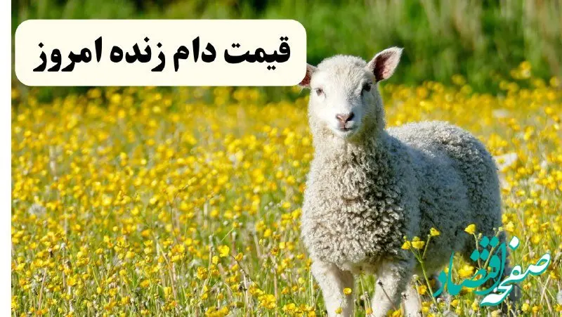 قیمت دام زنده امروز چهارشنبه ۲۰ فروردین ۱۴۰۴ | قیمت گوسفند زنده چند؟