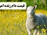 قیمت دام زنده امروز چهارشنبه ۲۰ فروردین ۱۴۰۴ | قیمت گوسفند زنده چند؟