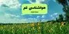 پیش بینی وضعیت آب و هوا قم فردا جمعه ۲۰ شهریور