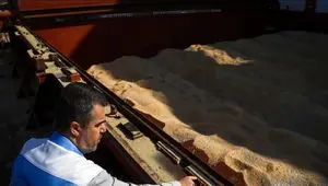 از بارگذاری ۲ میلیون تن نهاده دامی در بازارگاه تا آغاز تولید قراردادی مرغ