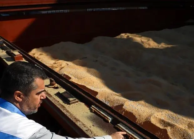 از بارگذاری ۲ میلیون تن نهاده دامی در بازارگاه تا آغاز تولید قراردادی مرغ