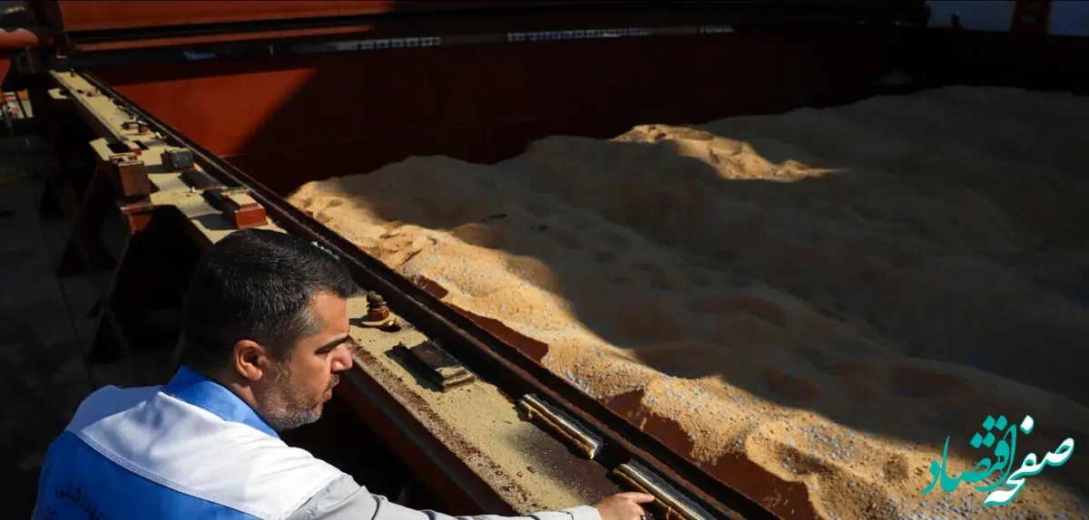 از بارگذاری ۲ میلیون تن نهاده دامی در بازارگاه تا آغاز تولید قراردادی مرغ