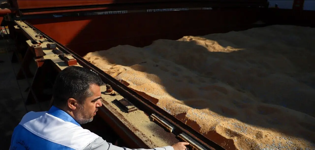 از بارگذاری ۲ میلیون تن نهاده دامی در بازارگاه تا آغاز تولید قراردادی مرغ