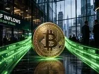 آخرین وضعیت بازار رمزارزها در جهان امروز دوشنبه ۱۴ اردیبهشت ماه ۱۴۰۵ | ورود بیت کوین به کانال جدید
