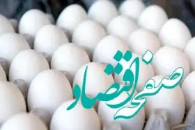 قیمت تخم مرغ امروز چهارشنبه ۳ مرداد ماه ۱۴۰۳ | قیمت تخم مرغ گران شد؟! + جدول