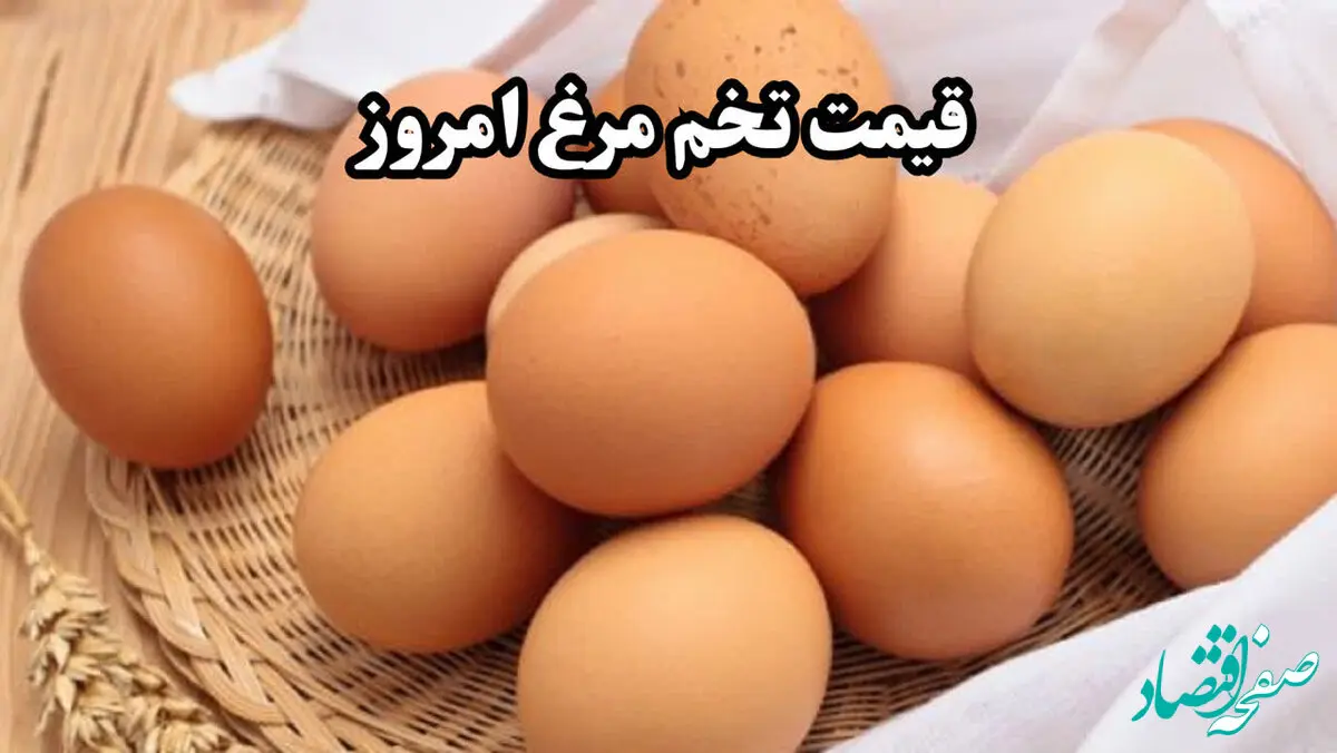 یک شانه تخم مرغ چند؟/جدیدترین قیمت تخم مرغ امروز شنبه ۱۳ بهمن ۱۴۰۳