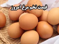 تخم مرغ شانه‌ای چند؟/آخرین قیمت تخم مرغ امروز پنجشنبه ۲۵ بهمن ۱۴۰۳ در بازار