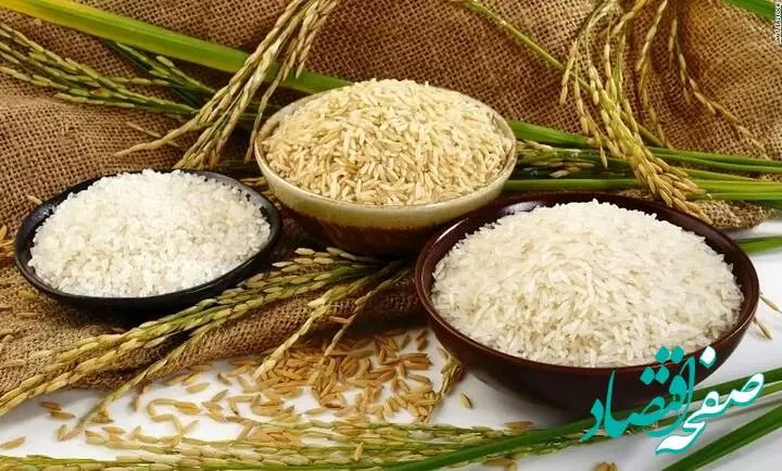 قیمت برنج ایرانی حدود۷۰ درصد گران شد! 