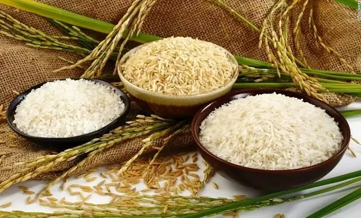 قیمت برنج ایرانی حدود۷۰ درصد گران شد! 