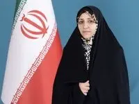 واکنش معاون رئیس‌جمهور در مورد ادعای دریافت پول از قربانیان معدن در طبس