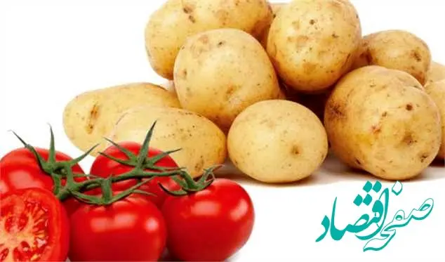 سیب‌زمینی و گوجه‌فرنگی ارزان شد