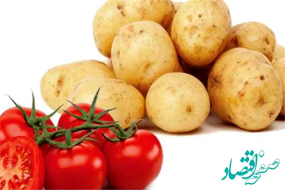 سیبزمینی و گوجهفرنگی ارزان شد