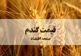 آخرین خبر از قیمت جدید گندم امروز شنبه ۶ دی ۱۴۰۴ |  نرخ خرید تضمینی گندم تغییر می کند؟ 