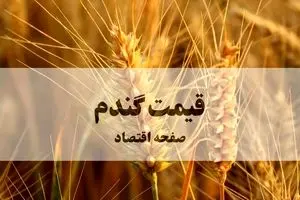 آخرین خبر از تعیین قیمت تضمینی گندم امروز جمعه  ۱ اسفند ۱۴۰۴ 