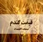 آخرین خبر از مطالبات گندمکاران و زمان اعلام قیمت جدید گندم به گفته رئیس سازمان برنامه و بودجه + ویدئو